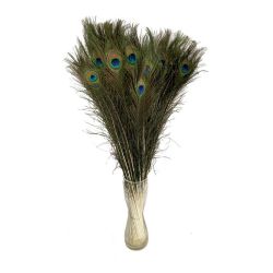 Malzeme Dekoratif Süs Peacock  Feathers (İthal-10dal)
