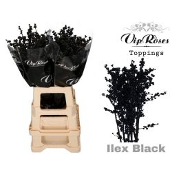  İlex Black (10 dal-70 cm)