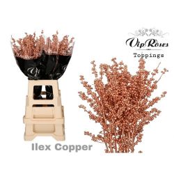  İlex Copper (10 dal-70 cm)