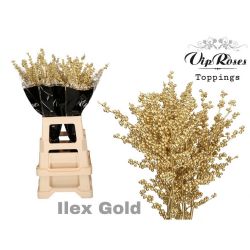  İlex Gold (10 dal-70 cm)