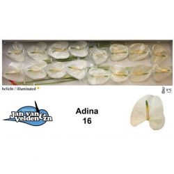  İthal Anthurium A Adina (16 Dal-55cm)