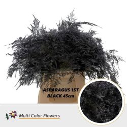  İthal Asparagus Black (1 Bağ-50dal)