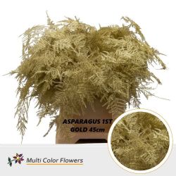  İthal Asparagus Gold (1 Bağ-50dal)