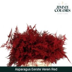  İthal Asparagus Red (1 Bağ-50dal)