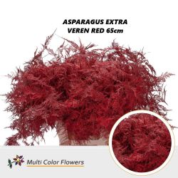 İthal Asparagus Veren Red (65cm-50dal)