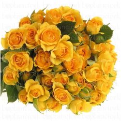  İthal Çardak Mariah (10dal-40cm)