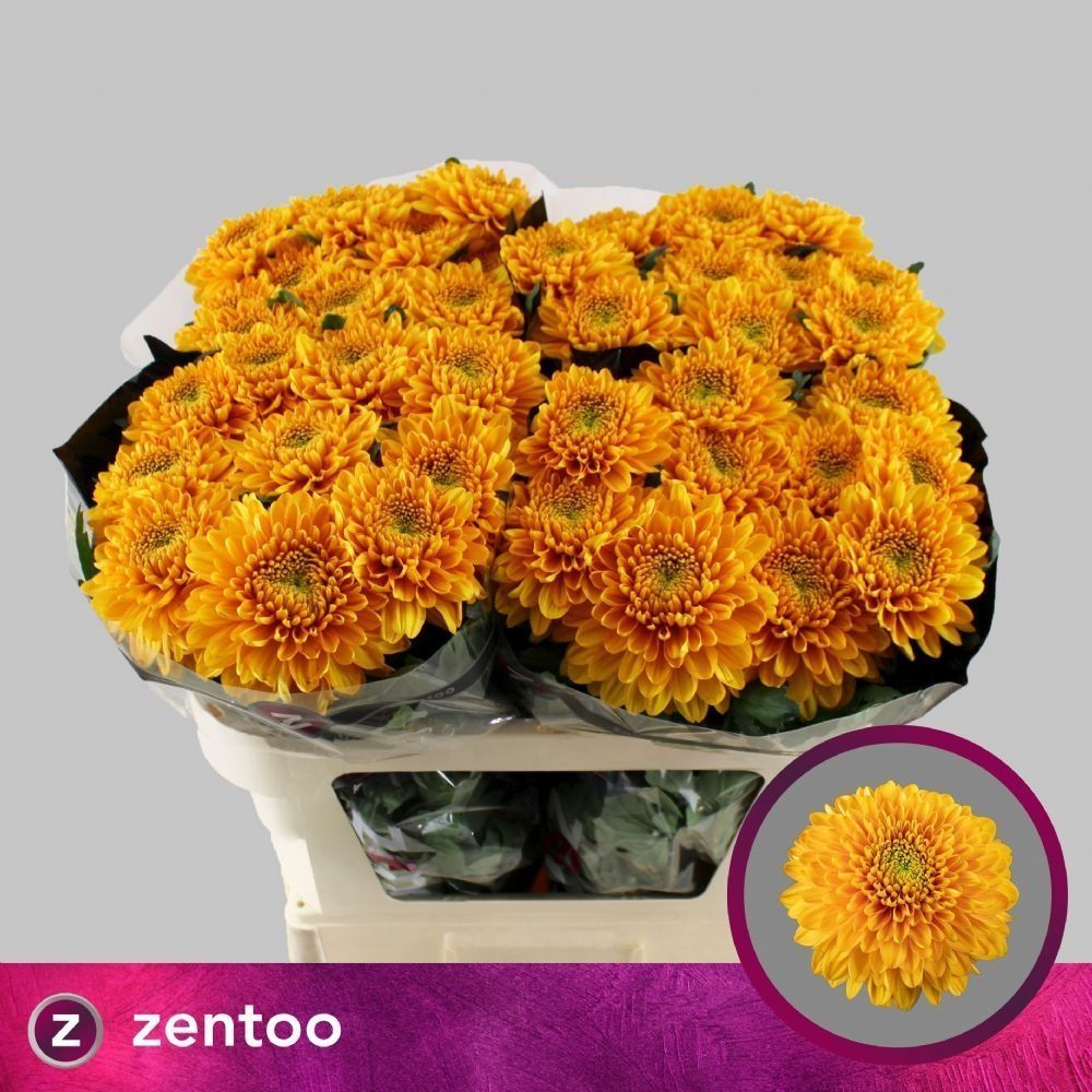 İthal Biçme |  İthal Chrysanthemum G Williem Orange (10 dal-70cm) | 