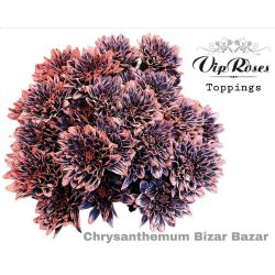  İthal Chrysanthemum T Bizar Bazar (Biçme-5 dal-70cm)