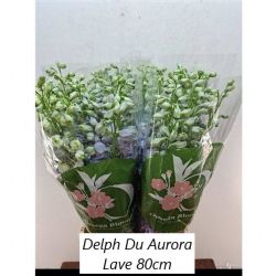  İthal Delphinium El Aurora Lave (10 dal-80cm)