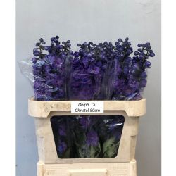  İthal Delphinium El Christel (10 dal-80 cm)