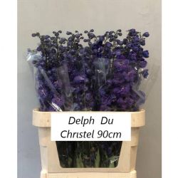  İthal Delphinium El Christel (10 dal-90 cm)