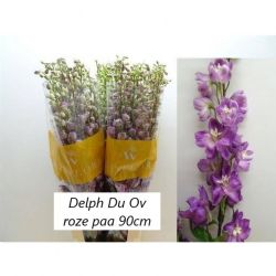  İthal Delphinium El Gemend (10 dal-90 cm)