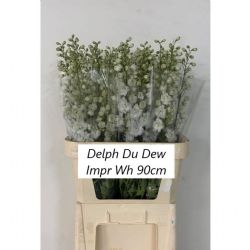  İthal Delphinium El İmpress White (10 dal-90cm)