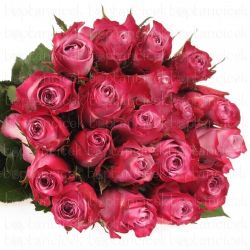  İthal Gül 40 cm Deep Purple (10 dal)