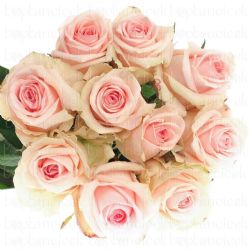  İthal Gül 40 cm Revival Sweet (10 dal)