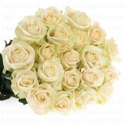  İthal Gül 60 cm Four Seasons (10dal)