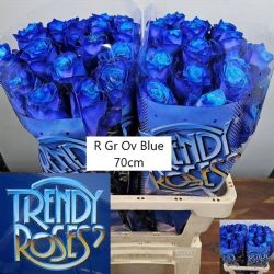  İthal Gül 70 cm Blue (20dal)