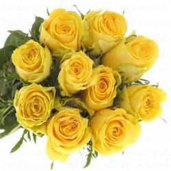  İthal Gül Good Times (10 dal-50cm)