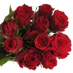  İthal Gül Kırmızı 50 cm Upper Class (10 dal)