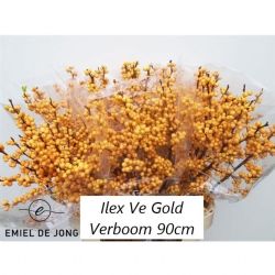  İthal İlex Golden Verboom (10 dal-90 cm)