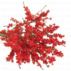  İthal İlex Vert Stuk (10 dal-100 cm)