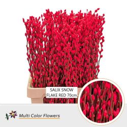  İthal Salix Ca Snowflake Red (Gümüş-10 dal-70cm)