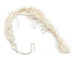  İthal Şoklanmış Amaranthus Blanco (1 Demet)