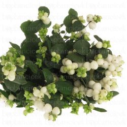  İthal Symphoricarpos Mag Avalanche (10 dal-70cm)