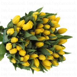  İthal Tulipa EN Strong Gold (Lale-10 dal-42 cm)