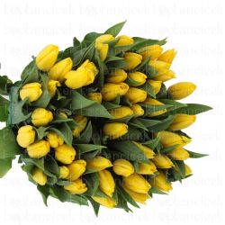  İthal Tulipa En Strong Gold (Lale-10 dal-43 cm)