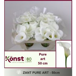  İthal Zantedeschia Pure Art (Gala-10dal-50cm)