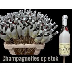   Malzeme Deco 60cm Champagne (10 Adet)