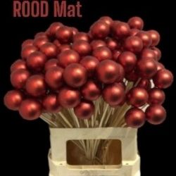  Malzeme Dekoratif Çubuklu Red Mat (10 adet-İthal-Boy:60cm)