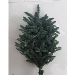 İthal Abies Nobilis Blauw 60cm (1 Bağ)