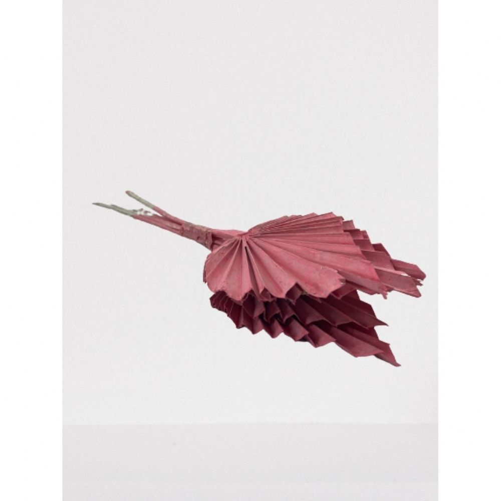 İthal Garnitür ve Yeşillikler | Kuru Çiçek İthal Palm Spear Pink (5dal-50cm) | 