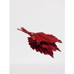 Kuru Çiçek İthal Palm Spear Red Kırmızı (5dal-50cm)