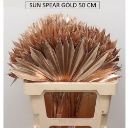 Kuru Çiçek İthal Sun Spear Gold (5dal-50cm)