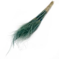Kuru Çiçek  Stipa Pennata Yeşil (10 Demet-1 Bağ-60 70cm)
