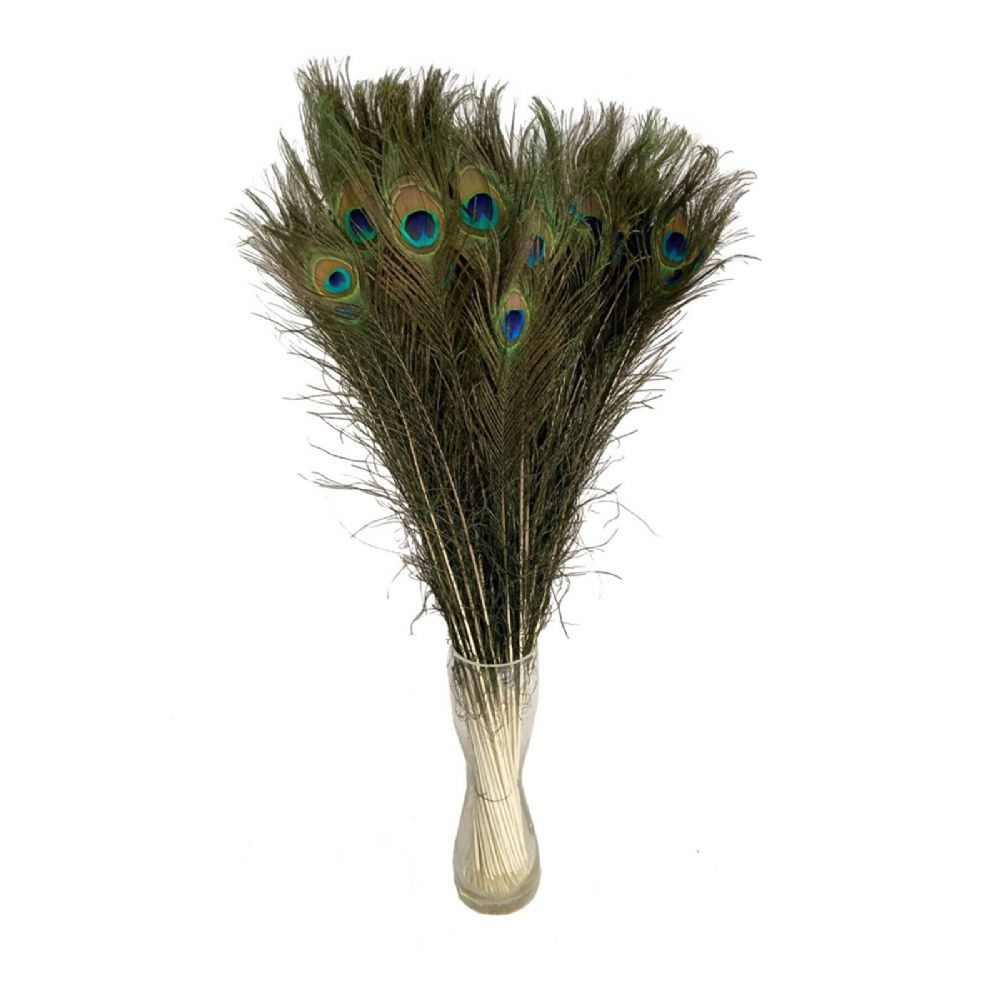 İthal Kesme Çiçekler | Malzeme Dekoratif Süs Peacock  Feathers 80 cm (İthal-10dal) | 