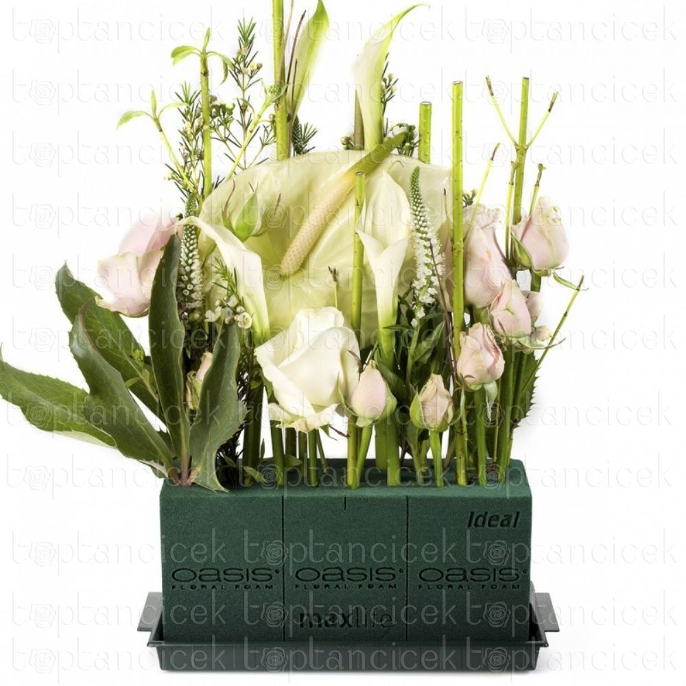 İthal Dekorasyon Ürünleri | Malzeme Oasis Ideal (Çiçek Süngeri-6 kutu-Alman Malı ) | 
