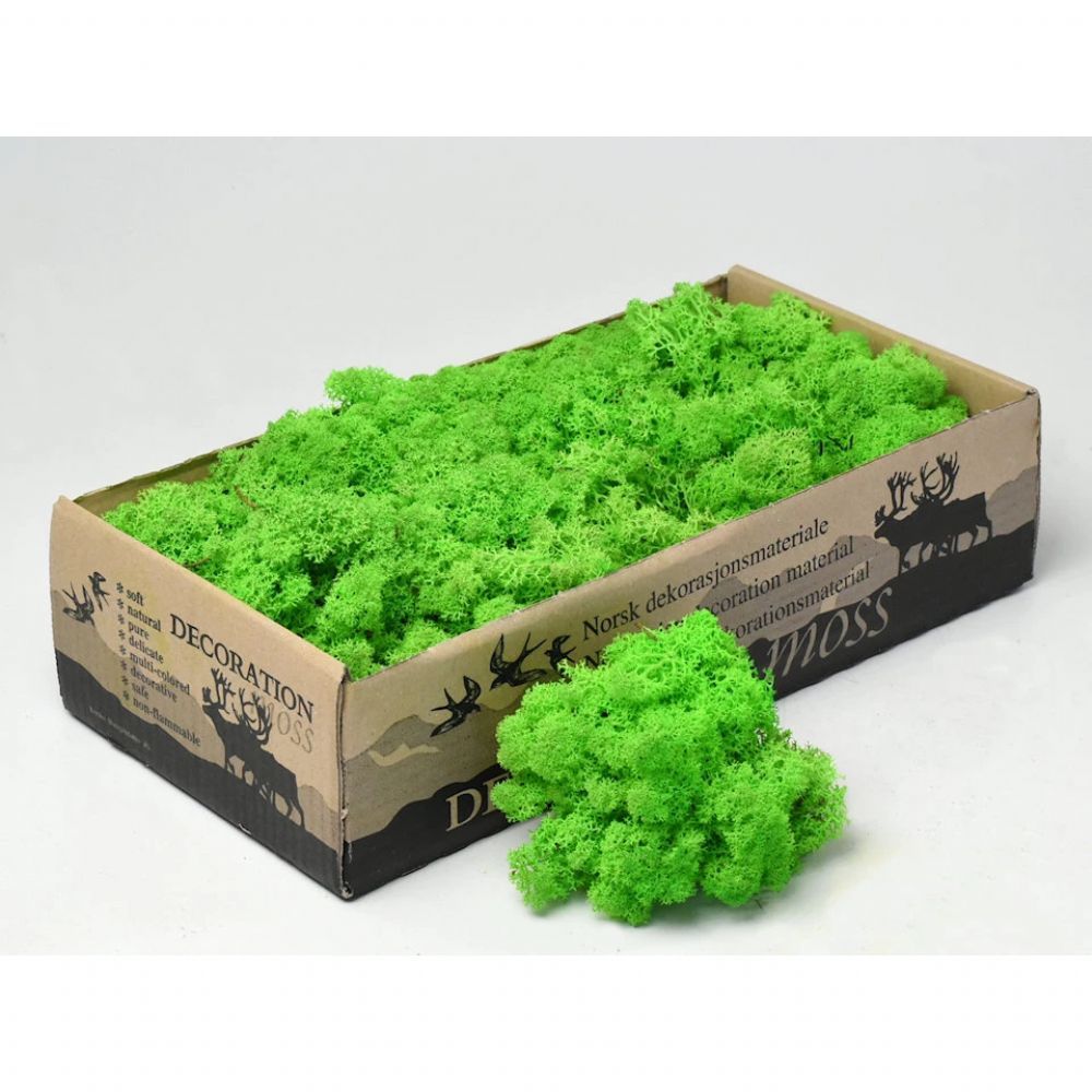 İthal Garnitür ve Yeşillikler | Malzeme Yosun İthal Leacobryum CL Spring Green (500 GR-1 kutu) | 