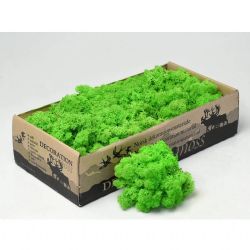 Malzeme Yosun İthal Leacobryum  Grass Green Light  (500 Gr-1 kutu)