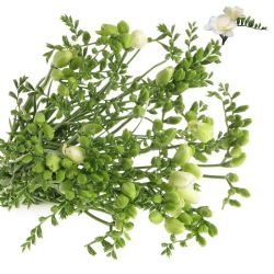 Yerli Frezya Beyaz 50-55 cm (Uzun) 25 Dal