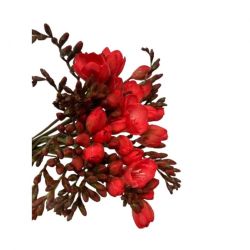 Yerli Frezya Boyalı Kırmızı (40 dal)