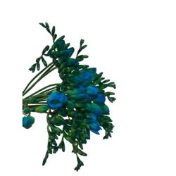 Yerli Frezya Boyalı Mavi (40 dal)