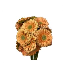 Yerli Gerbera Mini Somon (20 Dal)