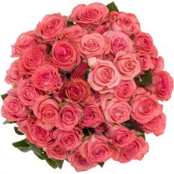 Yerli Gül Çardak Pembe (1 Demet)