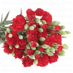 Yerli Karanfil Sprey Kırmızı (20 Dal)