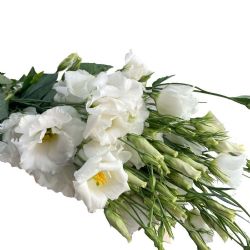 Yerli Lisianthus Beyaz (10 Dal) UZUN